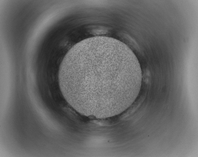 X0000111130763200907141211