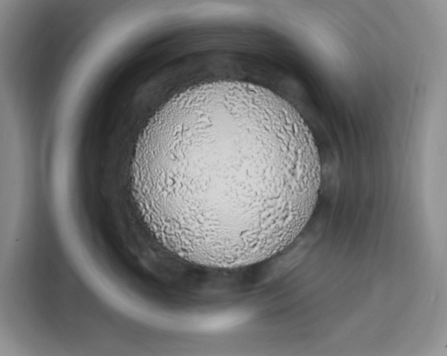 X0000111130765200907141211