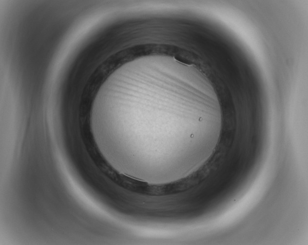 X0000111130766200907141211