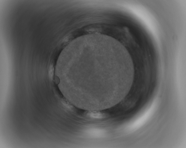 X0000111130767200907141211