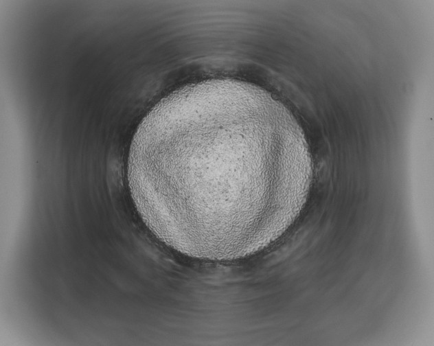 X0000111130772200907141210