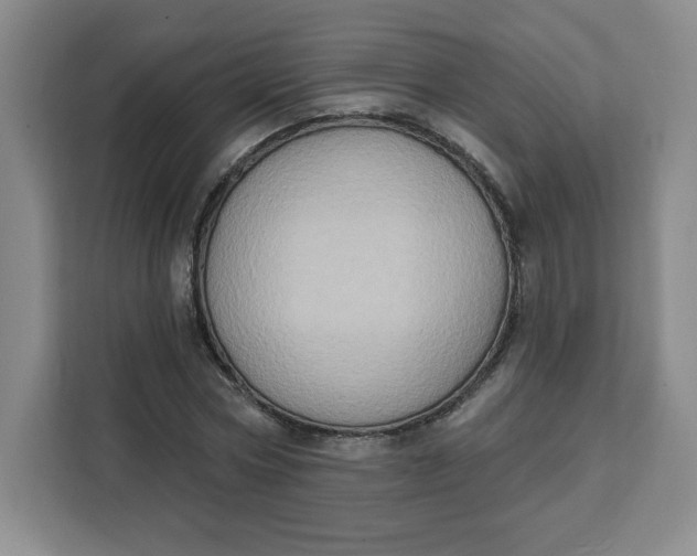 X0000111130778200907141210