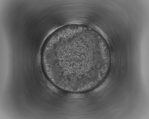 X0000111130779200907141210