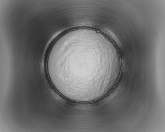 X0000111130780200907141210