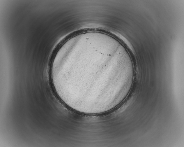 X0000111130783200907141210