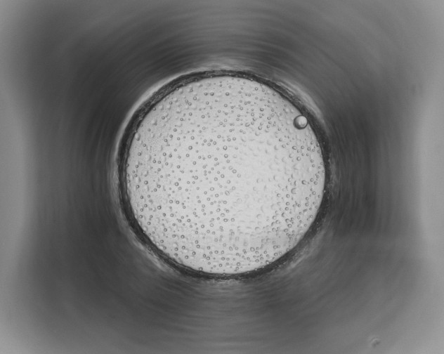 X0000111130784200907141210