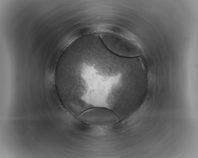 X0000111130785200907141210