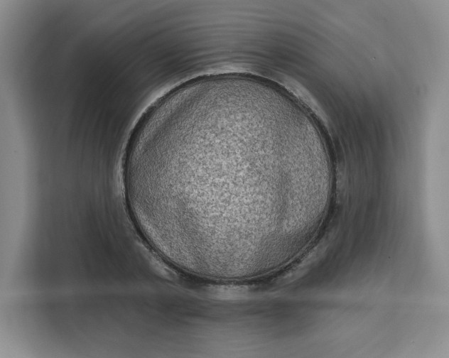 X0000111130789200907141210