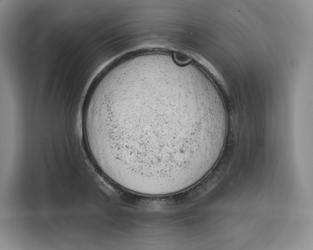 X0000111130791200907141210