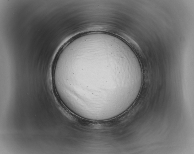 X0000111130792200907141210