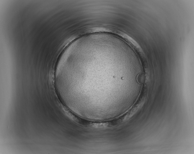 X0000111130793200907141210