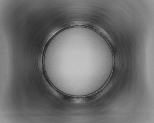 X0000111130794200907141210