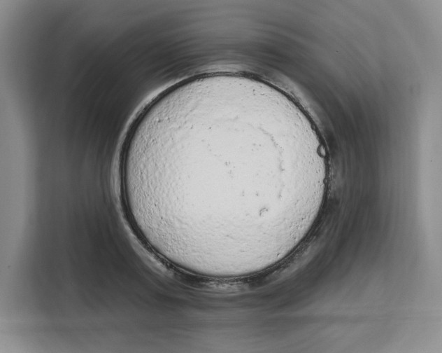 X0000111130795200907141210