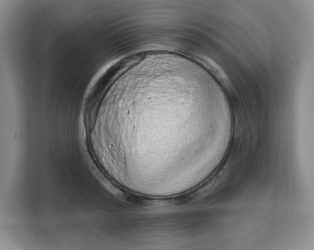 X0000111130796200907141210