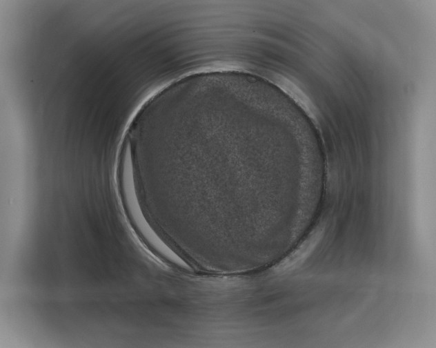X0000111130797200907141210