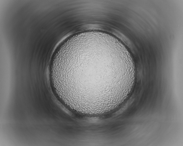 X0000111130798200907141210