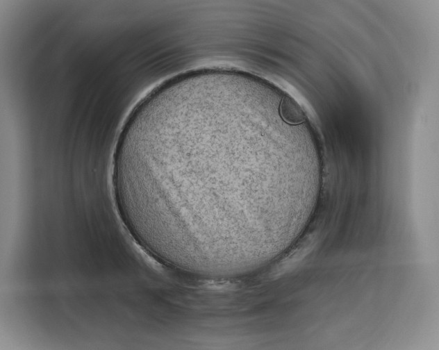 X0000111130799200907141210