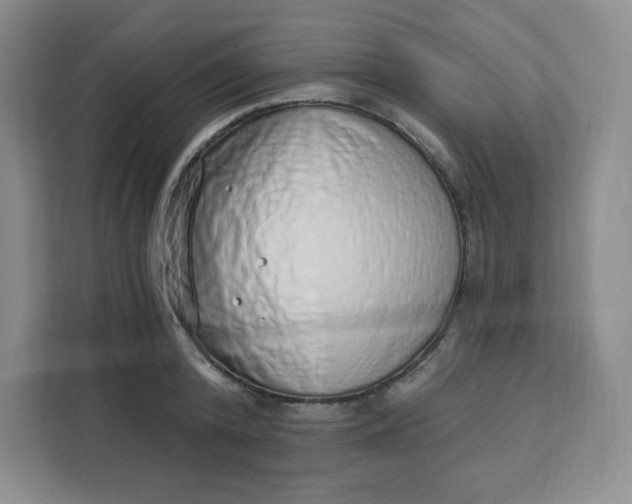 X0000111130800200907141210