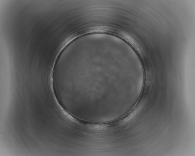 X0000111130802200907141210