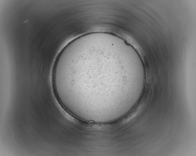 X0000111130803200907141210