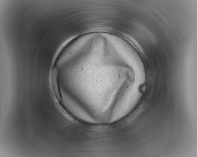 X0000111130804200907141210