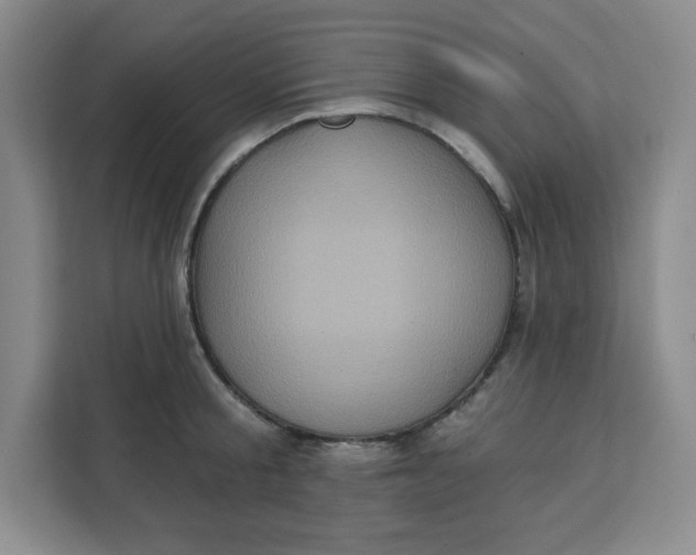 X0000111130805200907141210