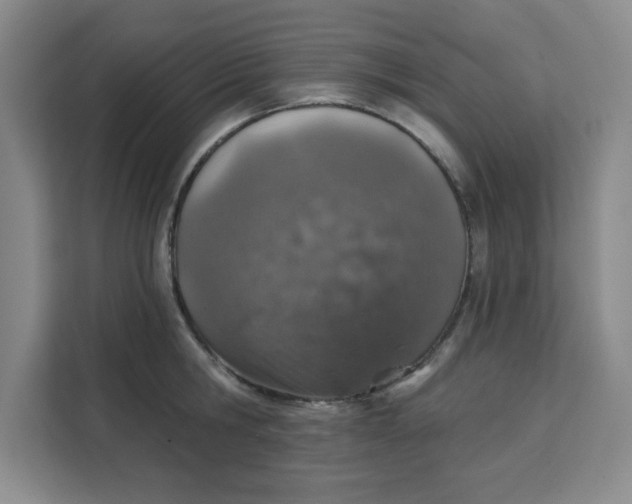 X0000111130806200907141210