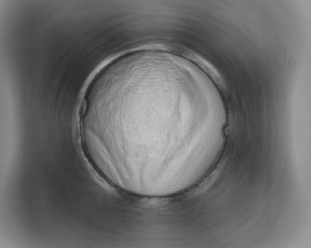 X0000111130808200907141209
