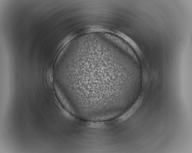 X0000111130809200907141209