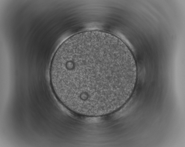 X0000111130810200907141209