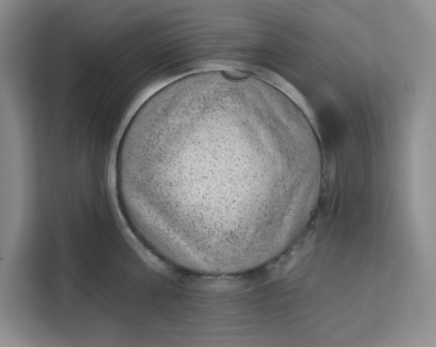 X0000111130811200907141209