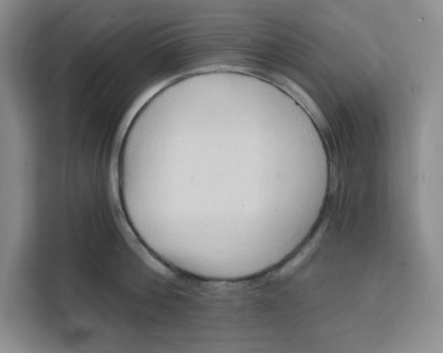 X0000111130812200907141209