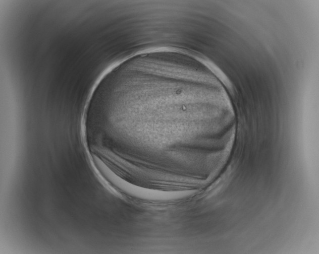 X0000111130813200907141209