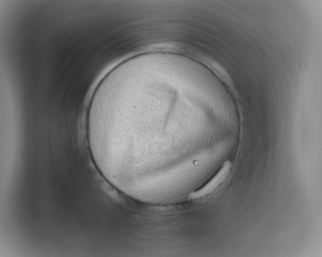X0000111130816200907141209