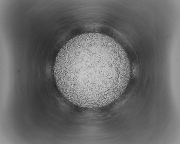 X0000111130819200907141209