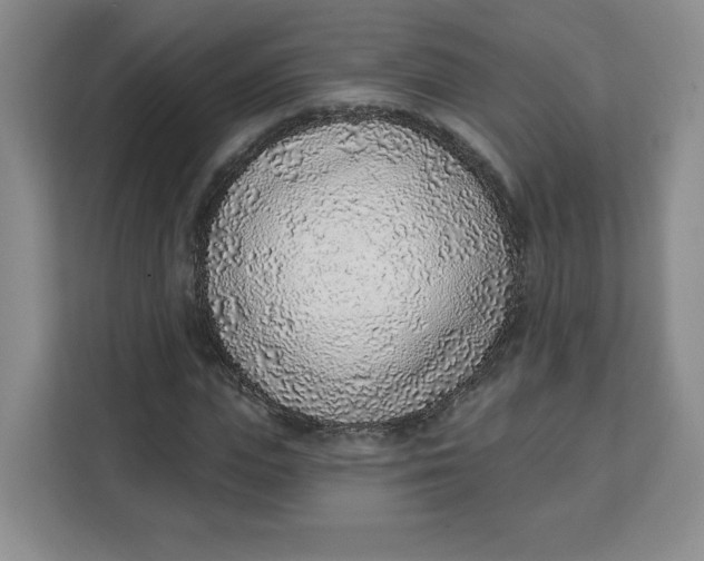 X0000111130823200907141209