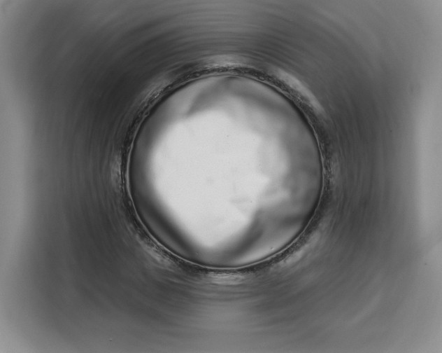 X0000111130825200907141209