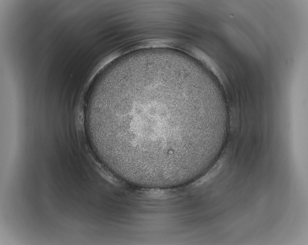 X0000111130827200907141209