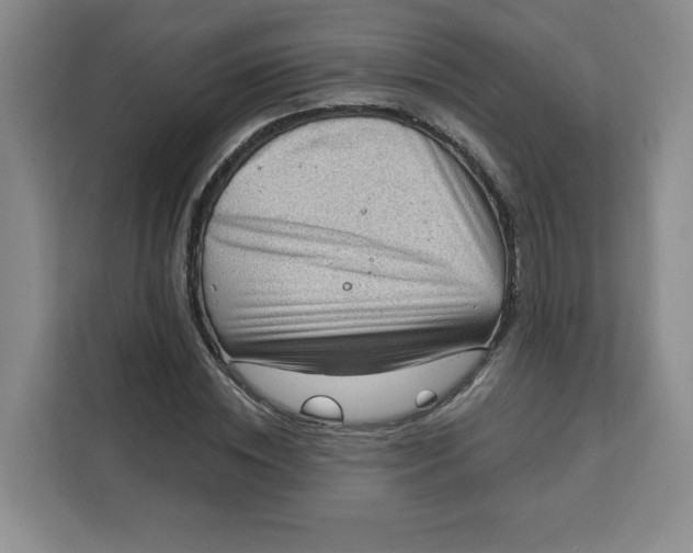 X0000111130828200907141209