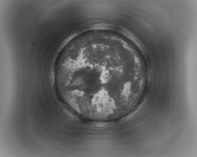 X0000111130829200907141209
