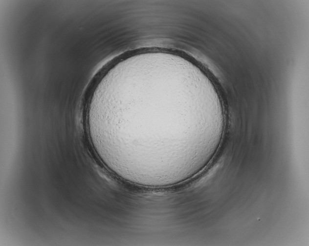 X0000111130830200907141209