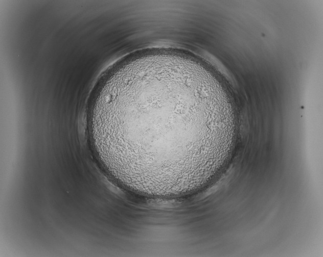 X0000111130831200907141209