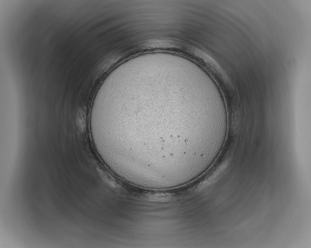 X0000111130833200907141209