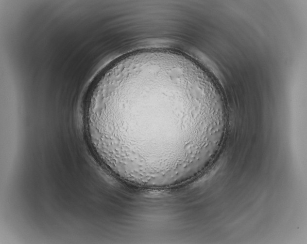 X0000111130835200907141209