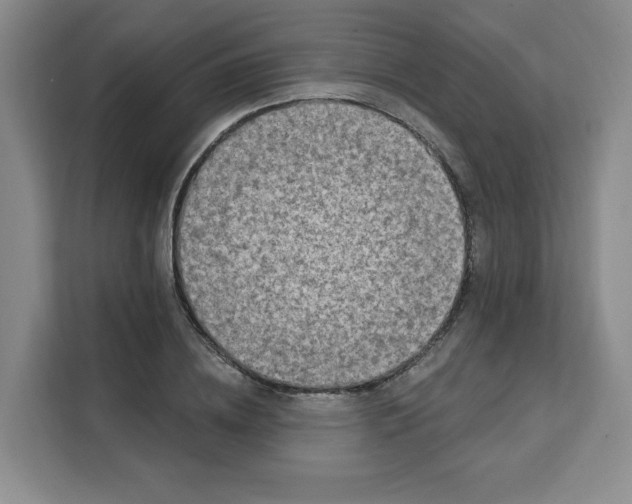 X0000111130836200907141209