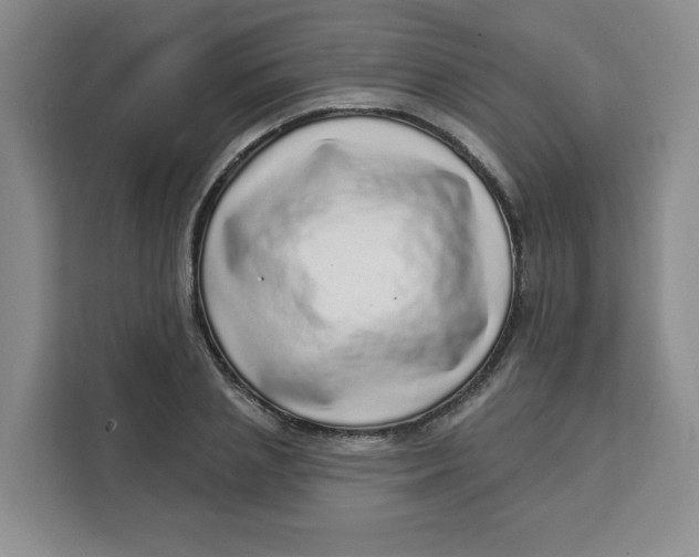 X0000111130837200907141209