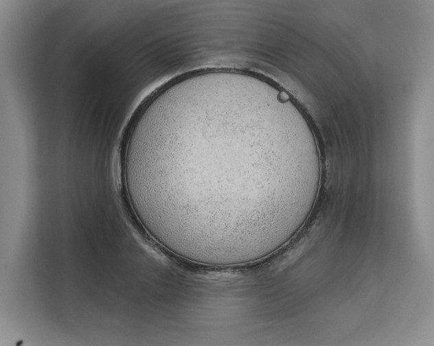 X0000111130838200907141209