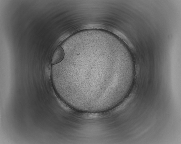 X0000111130841200907141209