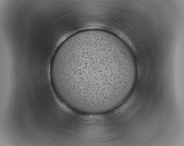 X0000111130842200907141209