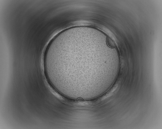 X0000111130843200907141209